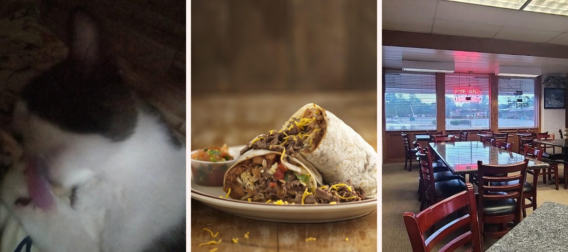 California Burgers Gallery Image 2